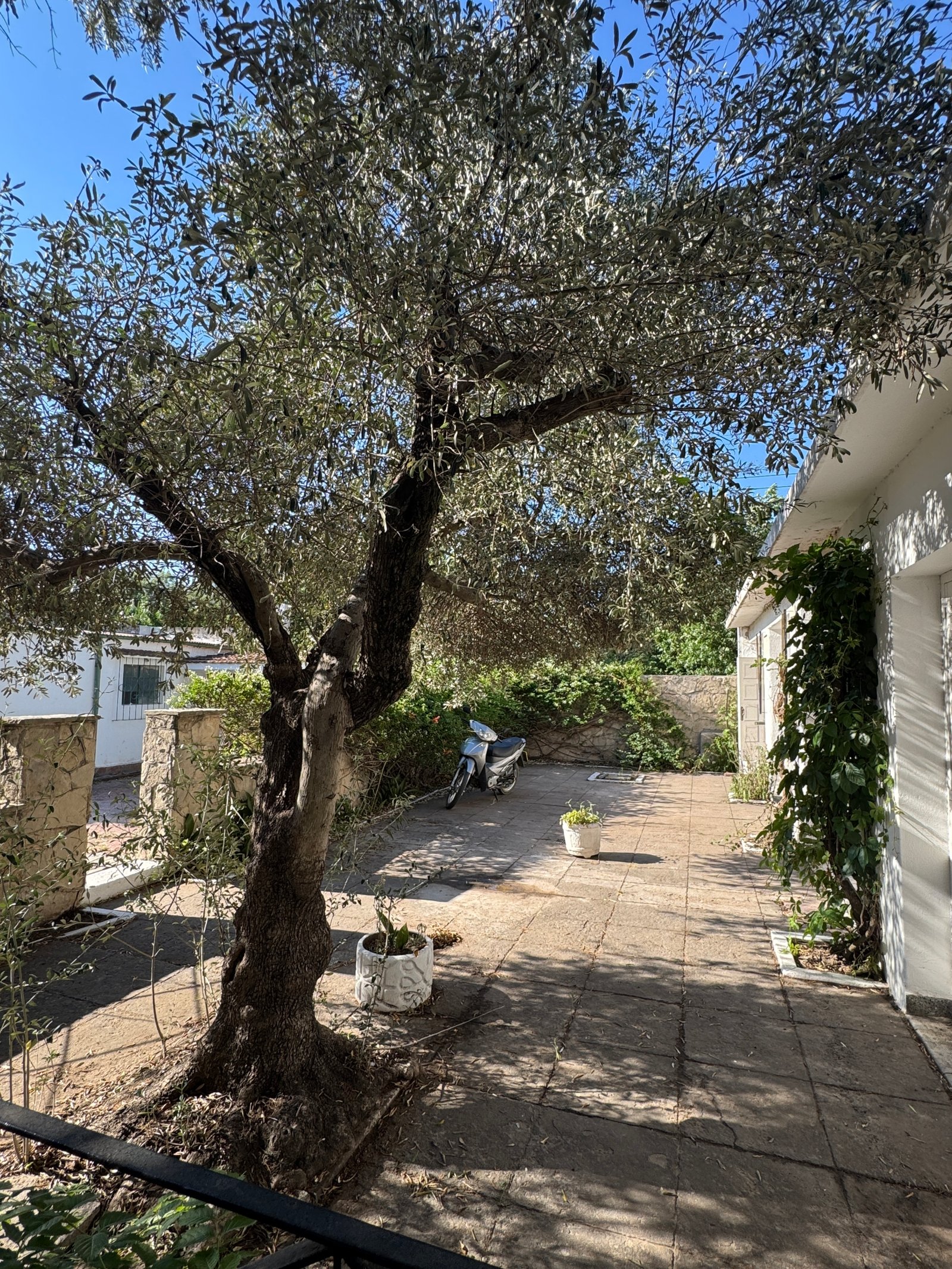Casa en venta en calle Libertad y Estrada