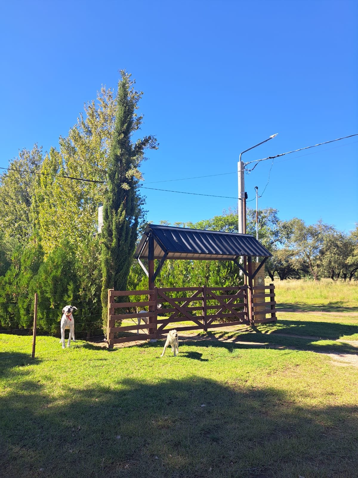 🏡 Quinta en Venta – Quehué, La Pampa
